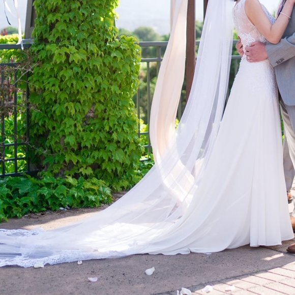 Pronovias Oseleta Wedding Dress - Picture 13 of 15